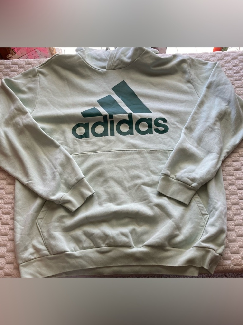 adidas Light Mint Hoodie with Teal Logo
